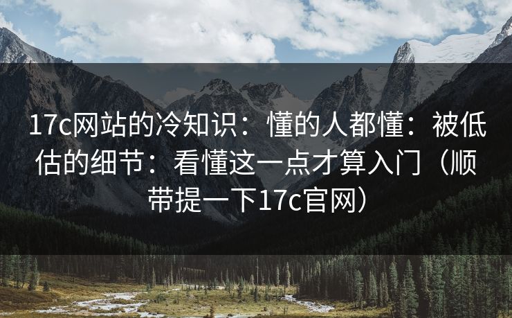 17c网站的冷知识：懂的人都懂：被低估的细节：看懂这一点才算入门（顺带提一下17c官网）