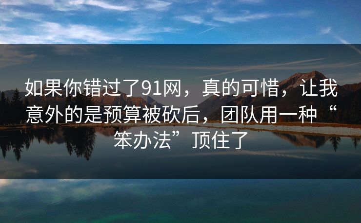如果你错过了91网，真的可惜，让我意外的是预算被砍后，团队用一种“笨办法”顶住了