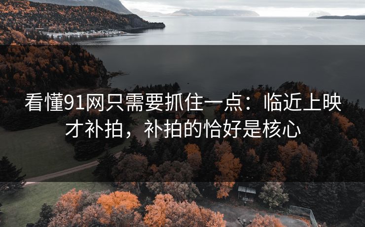 看懂91网只需要抓住一点:临近上映才补拍,补拍的恰好是核心 第1张 看懂91网只需要抓住一点:临近上映才补拍,补拍的恰好是核心 第1张