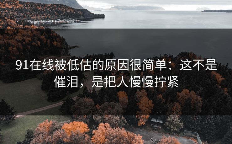 91在线被低估的原因很简单:这不是催泪,是把人慢慢拧紧 第1张 91在线被低估的原因很简单:这不是催泪,是把人慢慢拧紧 第1张